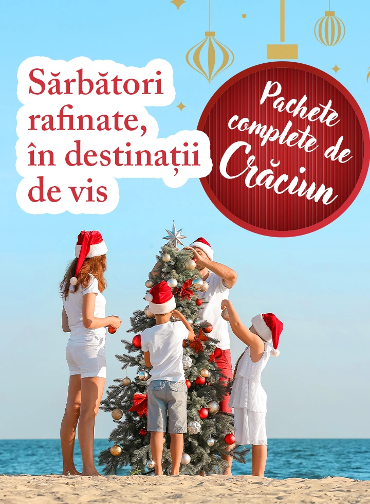 Vacanța de Craciun