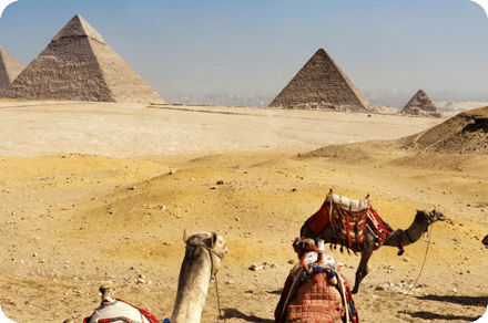 Top 5 atractii turistice de vizitat cu copiii in Egipt