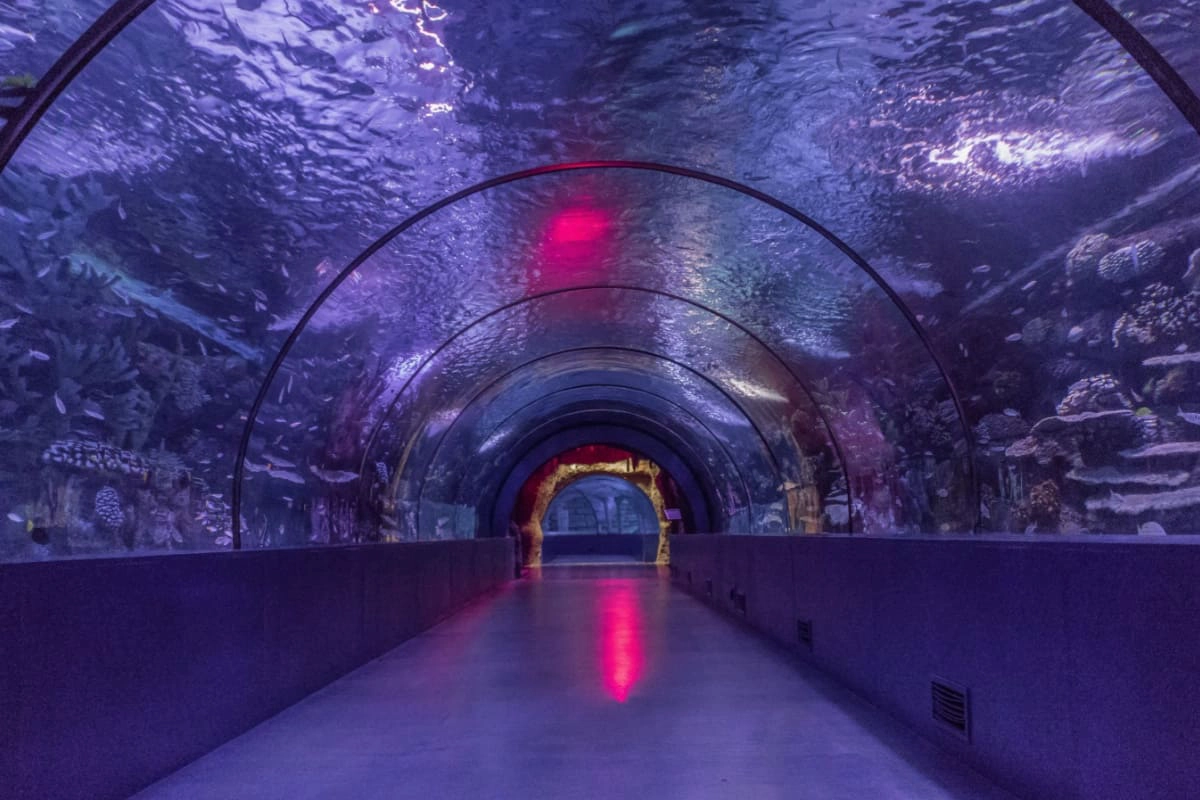 tunel acvariu Antalya