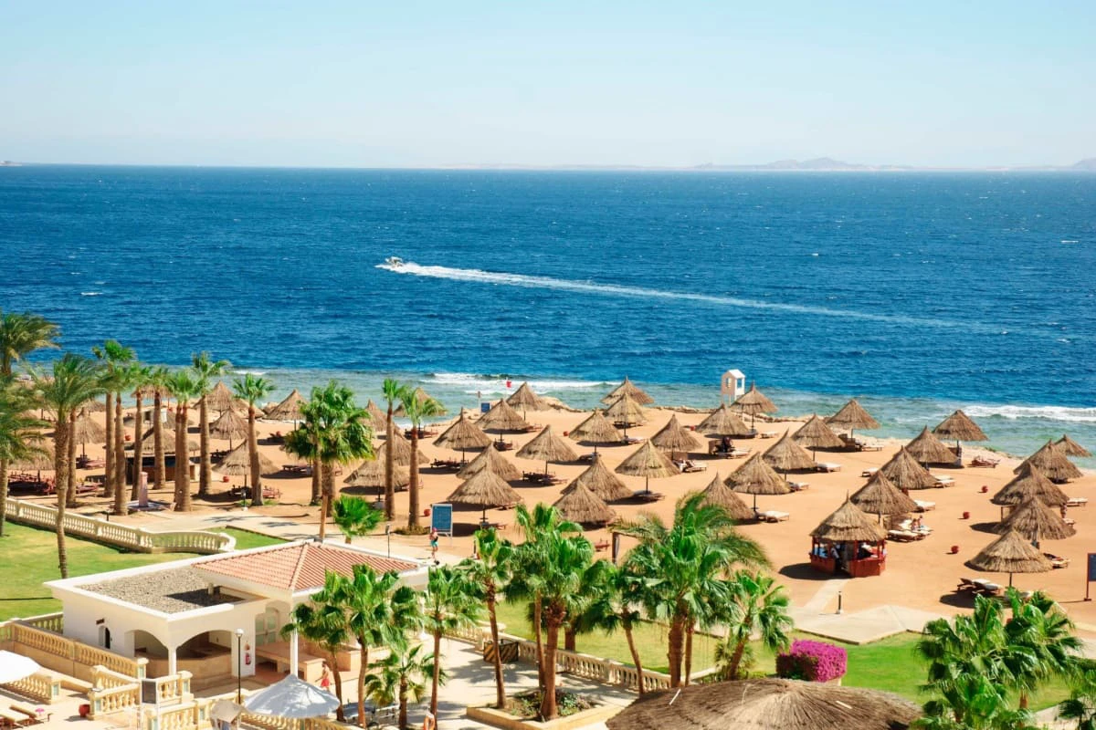 Coasta Marii Rosii, plaja de resort cu palmieri in Sharm El Sheikh, Egipt