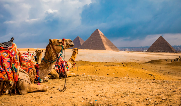 Excursie la Cairo si Piramide