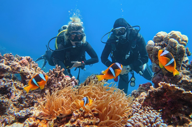sporturi acvatice egipt sharm el sheikh