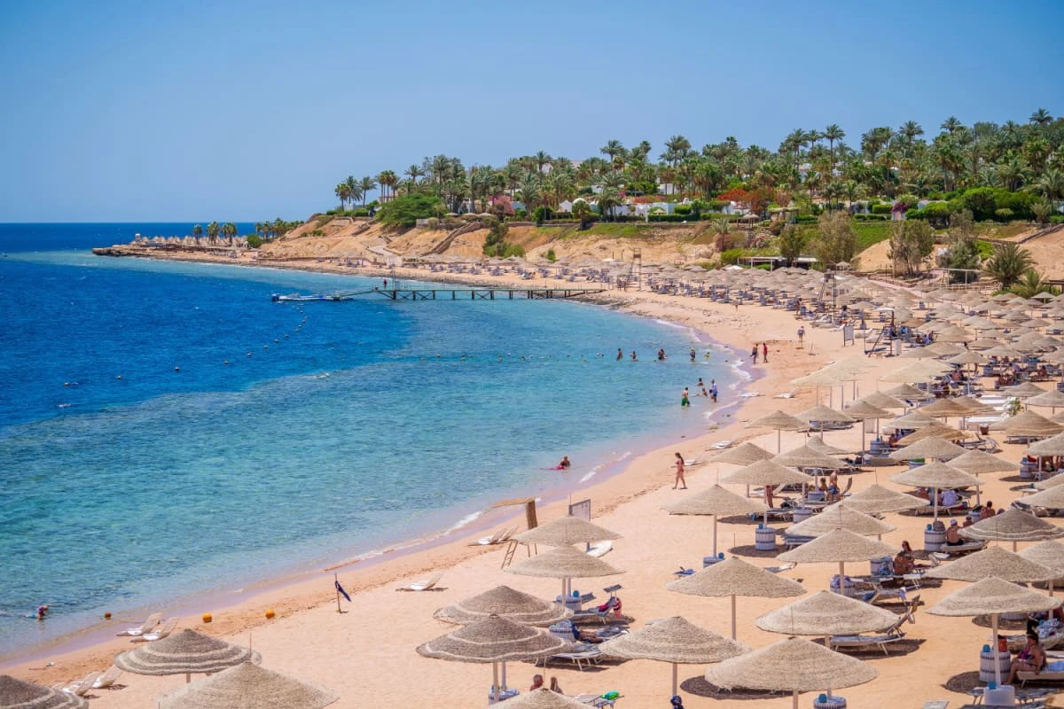 turisti se relaxeaza pe plaja de lux cu umbrelute si palmieri in Sharm El-Sheikh 