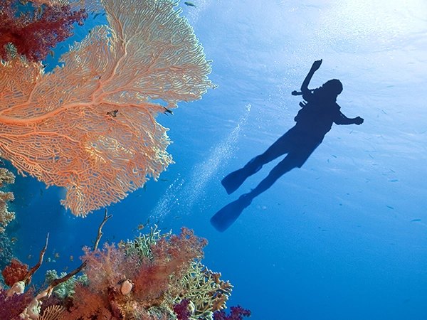 suite generoase, precum Junior Suite sau Lagoon Suite