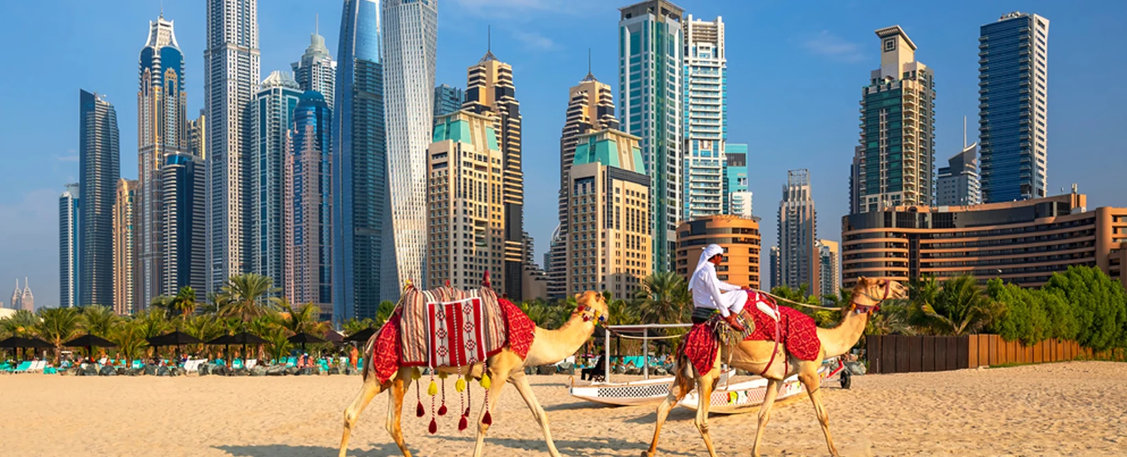 Imagine cu cladiri din Dubai si camile in prim-plan