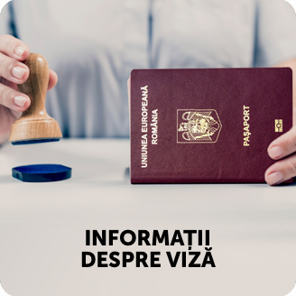 Informații despre viză
