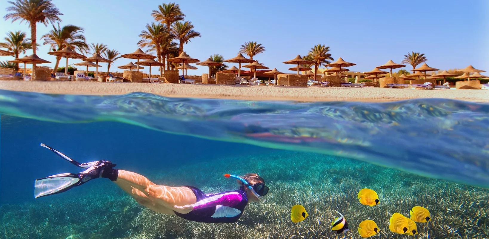 snorkeling in marea rosie vacanta all inclusive in egipt
