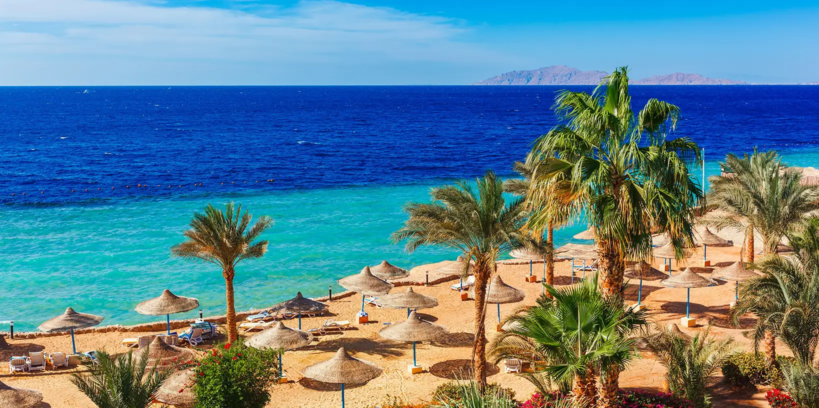 vacanță all inlcusive în egipt plajă cu palmieri și umbreluțe din stațiunea sharm el sheikh