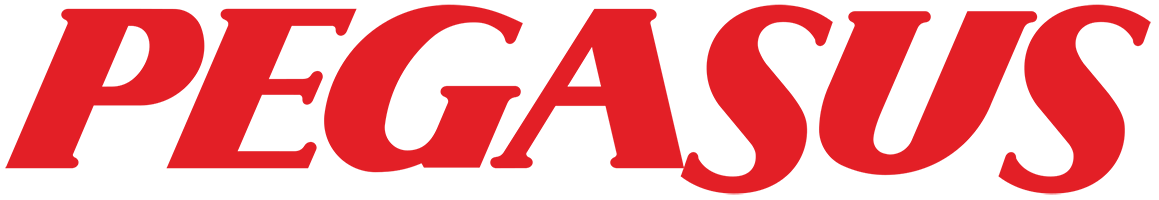 Pegasus airlines